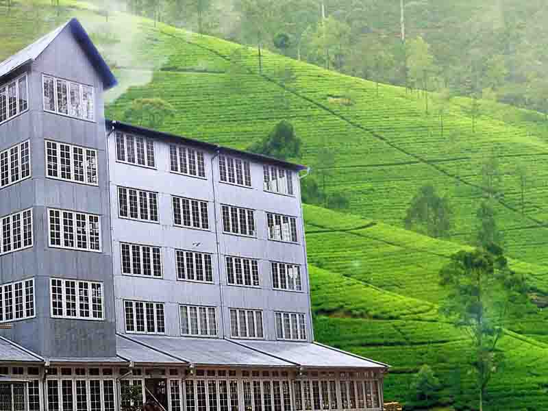 Tea Museum at Hanthan